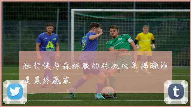独行侠与森林狼的对决结果揭晓谁是最终赢家