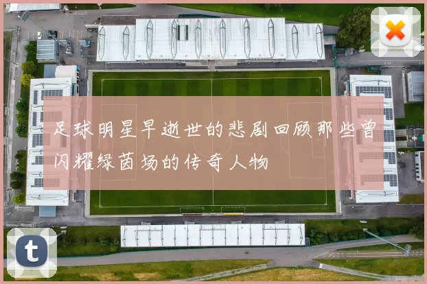 足球明星早逝世的悲剧回顾那些曾闪耀绿茵场的传奇人物