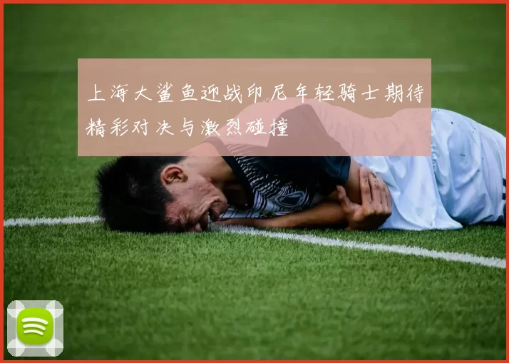 上海大鲨鱼迎战印尼年轻骑士期待精彩对决与激烈碰撞