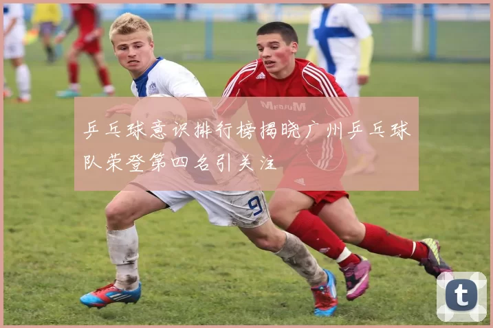 乒乓球意识排行榜揭晓广州乒乓球队荣登第四名引关注