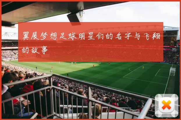 翼展梦想足球明星们的名字与飞翔的故事