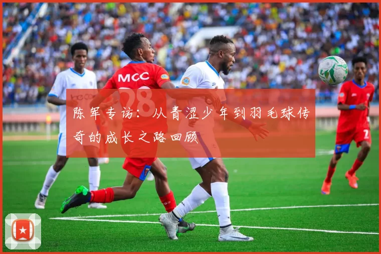 陈军专访：从青涩少年到羽毛球传奇的成长之路回顾