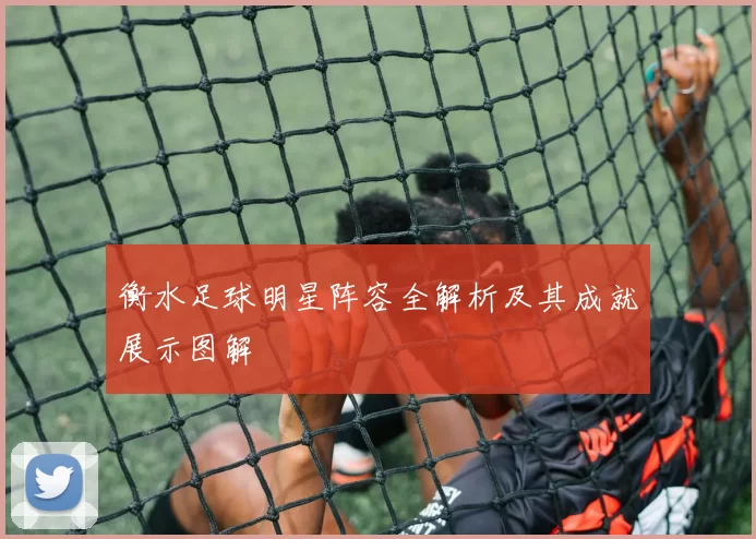 衡水足球明星阵容全解析及其成就展示图解